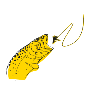 Rod Shimano Lunamis